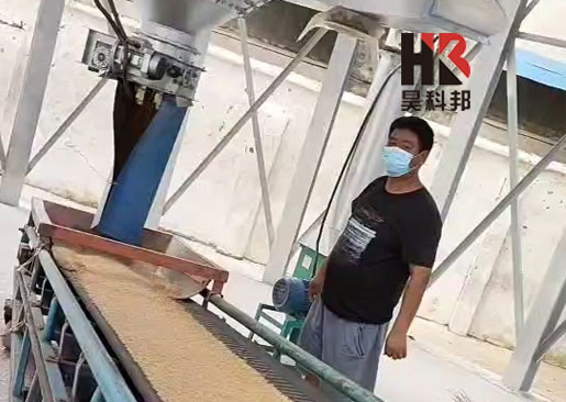 全鋼錐底鋼板倉采購 鍍鋅筒倉價格 雙層糧倉公司