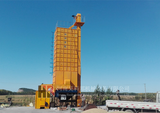 黑龍江農(nóng)墾建三江糧食烘干機作業(yè)現(xiàn)場