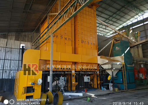 泰國水稻烘干機