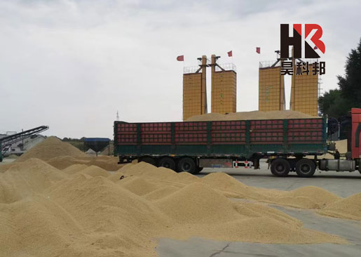 內(nèi)蒙古赤峰4-35噸水稻烘干機